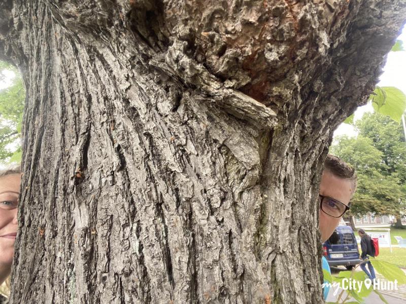 myCityHunt Speurtocht 15