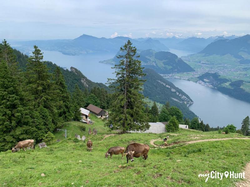 myCityHunt Speurtocht 13