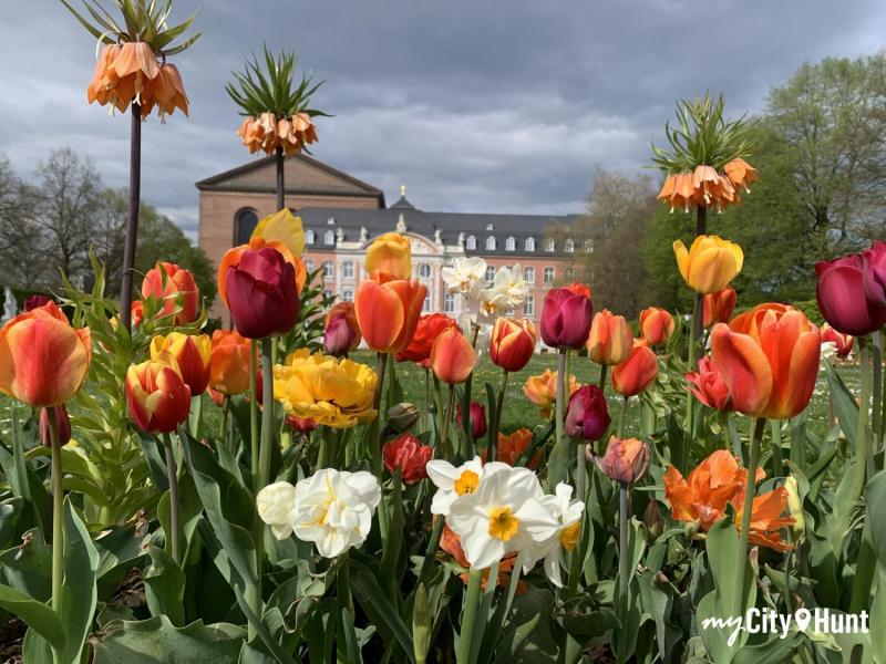 myCityHunt Speurtocht 4