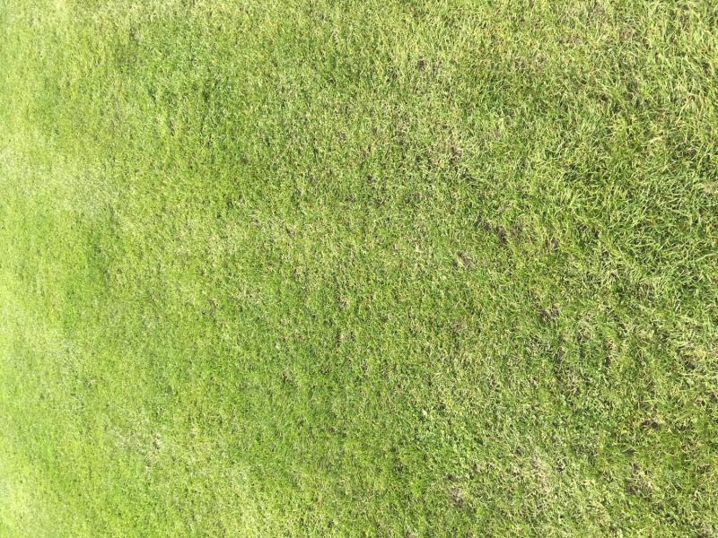 myCityHunt Speurtocht 1